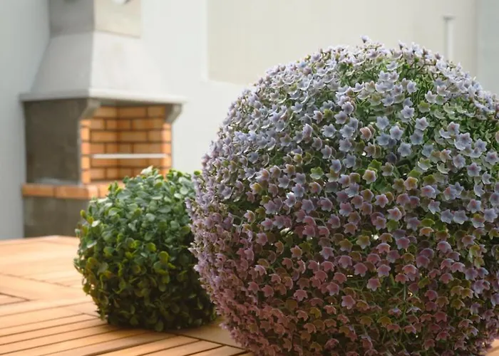 Apartament The Cale - Antero De Quental - 11 *